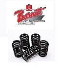 Koppelingsveren / Clutch Springs